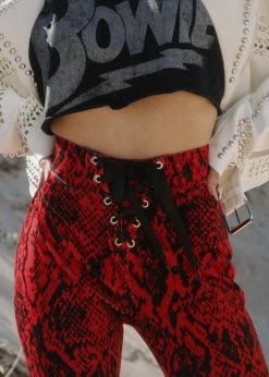 Pretty Attitude Red Rider Snakeskin Velvet Bell Bottoms Flared Pants
